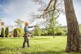 Gresham Park, GA Tree Care Services Company